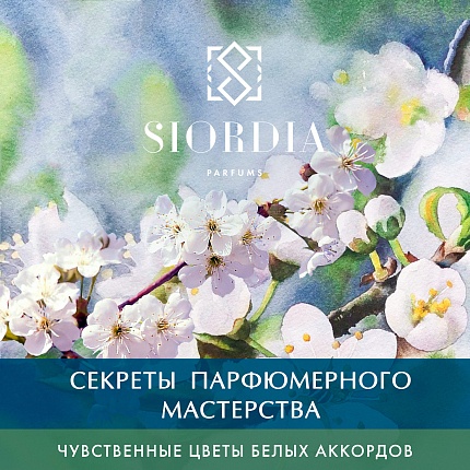 Уроки парфюмерного мастерства Чувственные цветы белых аккордов - от Siordia Parfums