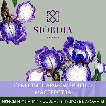 Уроки парфюмерного мастерства Ирисы, фиалки и нежная пудра - построение аккордов - от Siordia Parfums